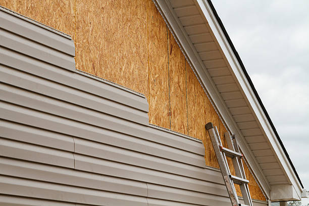Professional Storm Damage Siding Repair technician working in Colonial Heights, VA
